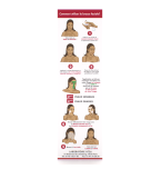 Brosse Faciale